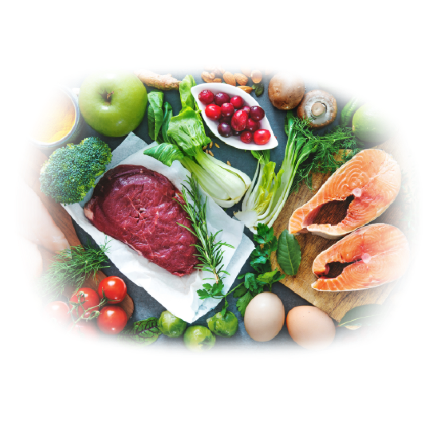 Food Analyzer Accessmedlab