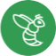 Insect Venoms